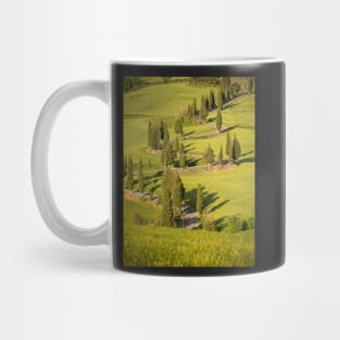 Line of cypress trees in bright sunlight Mug